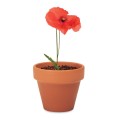 Doniczka, mak RED POPPY