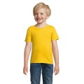 CRUSADER Dziecięcy T-SHIRT CRUSADER KIDS