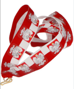 Wstążka szeroka 22 mm V10/POL