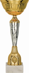 Puchar 9256 B złoto-srebrny H-32 cm R-120 mm + grawerowanie