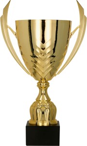 Puchar 4224 A złoty H-52 cm R-200 mm + grawerowanie