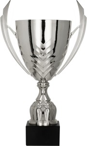 Puchar 4225 E srebrny H-35 cm R-120 mm + grawerowanie