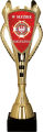 7243_STRAZACTWO ZOSP.png