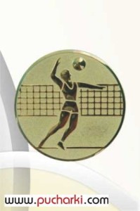 Wklejka aluminiowa R-50 mm siatkówka mężczyzn D2-A6/G