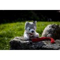 Pluszowy pies husky | Trooper HE692-19