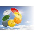 Parasol automatyczny | Hayden V4201-08