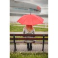 Parasol automatyczny | Dwight V9852-05