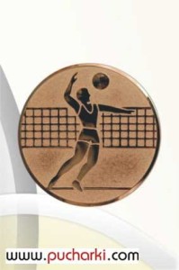 Wklejka aluminiowa R-50 mm siatkówka mężczyzn D2-A6/B