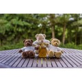 Pluszowy miś | Siddy Honey HE764-18