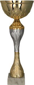 Puchar 9266 G złoto-srebrny H-21 cm R-80 mm + grawerowanie