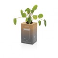Kubek termiczny 300 ml Avira Alya P438.023