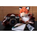 Pluszowy lis | Cleverus HE821-07