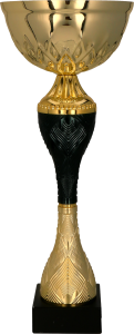 Puchar 9268 G złoto-czarny H-21 cm R-80 mm + grawerowanie