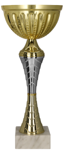 Puchar 9271 A złoto-srebrny H-35 cm R-140 mm + grawerowanie