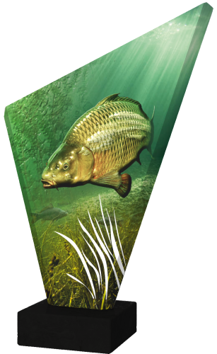 TG1_FIS3 test kopia.png