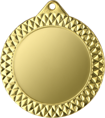 MMC1270_G_70_2 (1).png