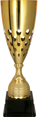 2093 copy 2 (1).png