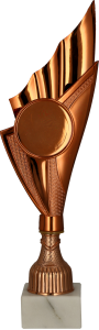 Puchar 9284 B brązowy H-29,5 cm + grawerowanie