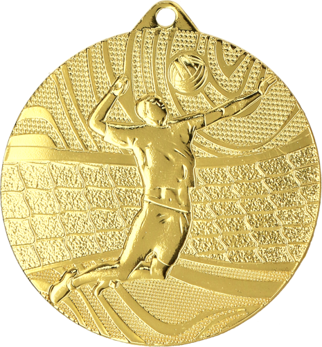 MMC41050_G - PNG.png