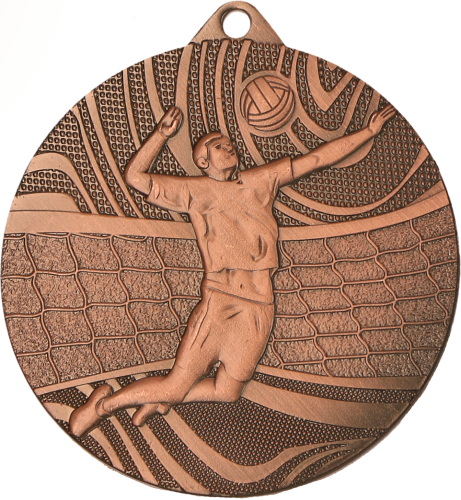 MMC41050_B - PNG.png