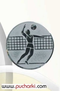 Wklejka aluminiowa R-50 mm siatkówka mężczyzn D2-A6/S