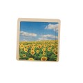 Puzzle V8083-00