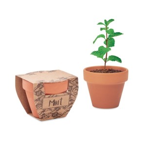 Nasiona mięty w doniczce MINT POT