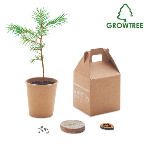 Nasiona sosny, torf, doniczka GROWTREE™