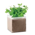 Zestaw do uprawy "Mięta " MINT