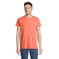 CRUSADER MEN T-SHIRT CRUSADER MEN