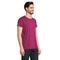 CRUSADER MEN T-SHIRT CRUSADER MEN