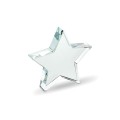 Szklana statuetka gwiazda STARWARD