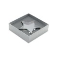 Szklana statuetka gwiazda STARWARD