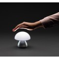 Lampka na biurko Luming, plastik z recyklingu P513.742