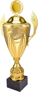 Puchar 4126 DP złoty H-47,5 cm R-140 mm z przykrywką + grawerowanie